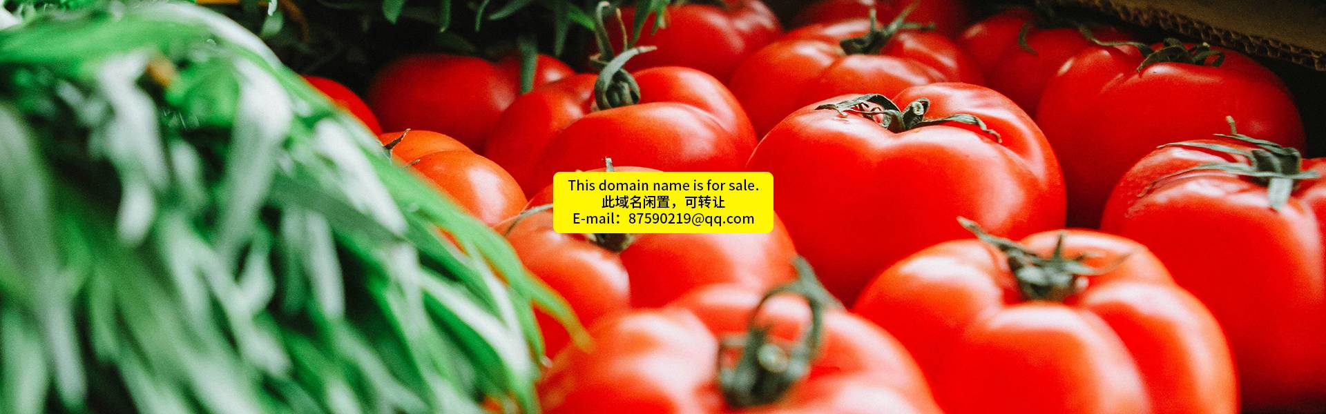 电脑幻灯片1 电脑幻灯片1