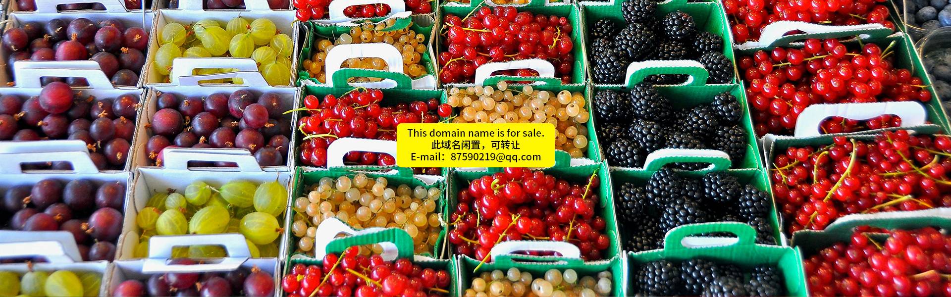 电脑幻灯片2 电脑幻灯片2